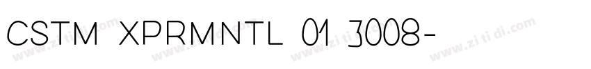CSTM XPRMNTL 01 3008字体转换
